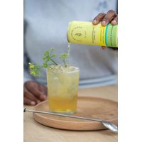 The Wellness Blend Collagen Sparkling Tea - Elderflower & Lemongrass